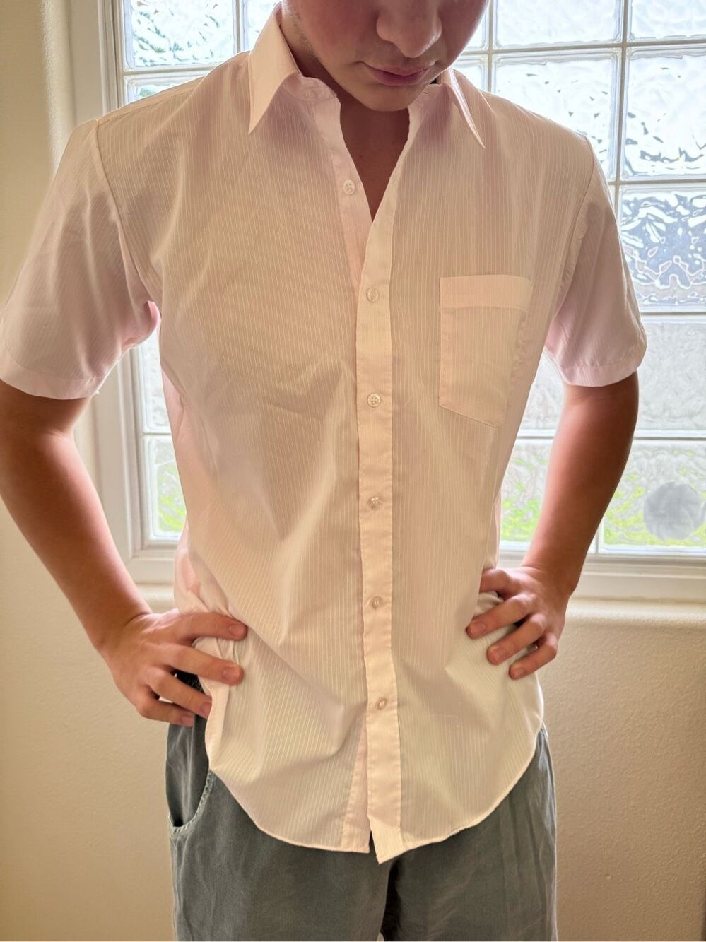 McGregor Classics light Havana pink men’s L vintage subtle pinstriped button up